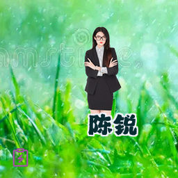 陈锐